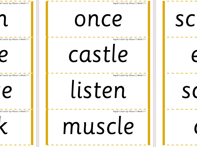 Rapid Catch Up Phase 5 Week 11 (Supports Little Wandle)