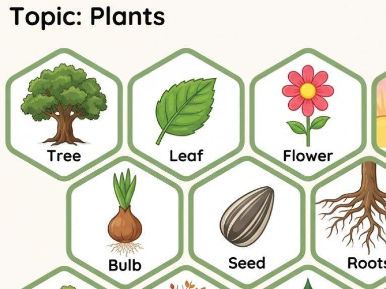 Year 1 Science Units - Hexagonal Thinking