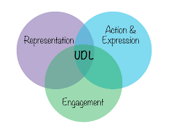 Inclusive Practice Matrix