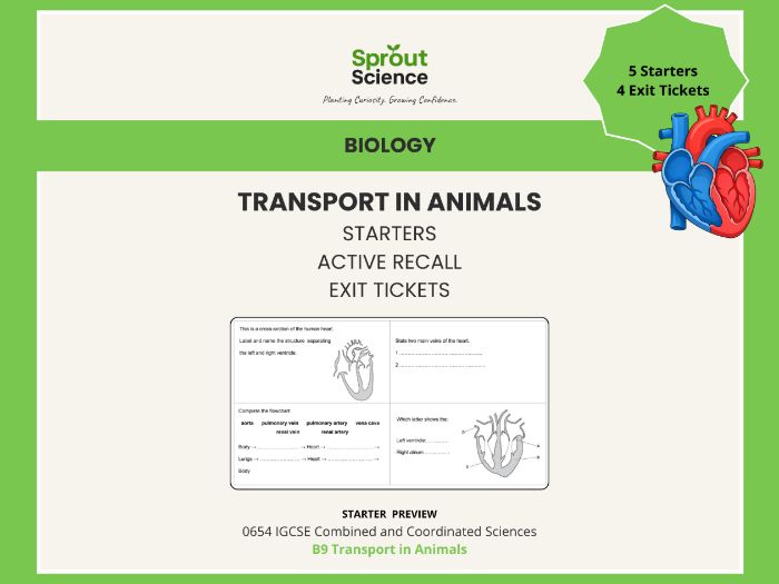 B9 Transport in Animals | Starter Activities & Exit Tickets | IGCSE Biology