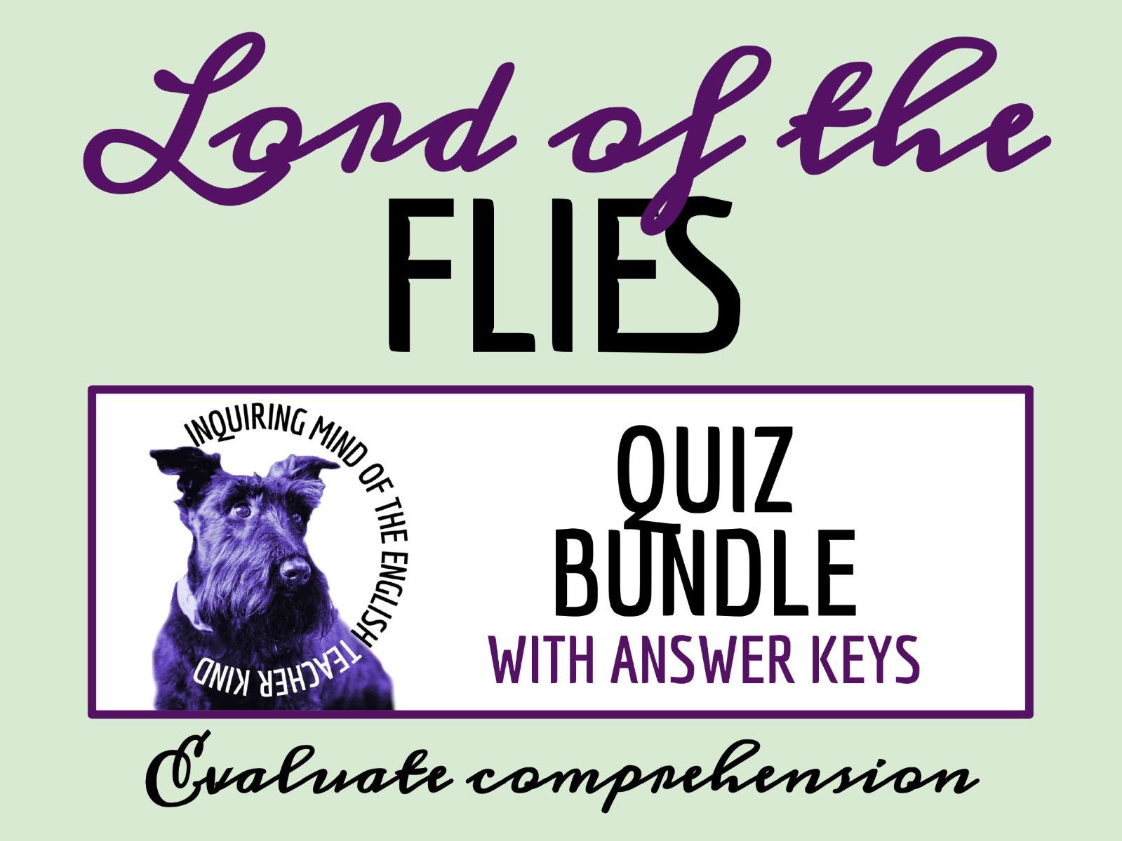 Lord of the Flies by William Golding Quiz and Answer Key Bundle
