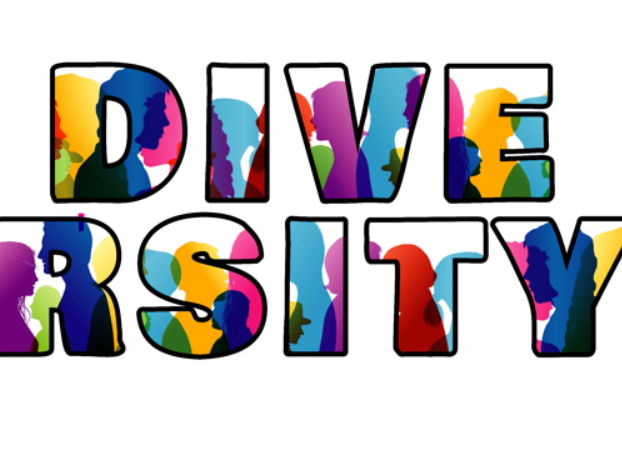 DIVERSITY classroom visual display letters