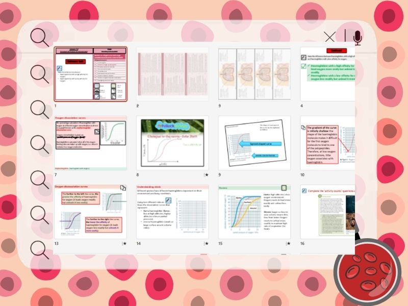 AQA A-Level Biology | Oxygen Dissociation Curves & Haemoglobin Affinity ...