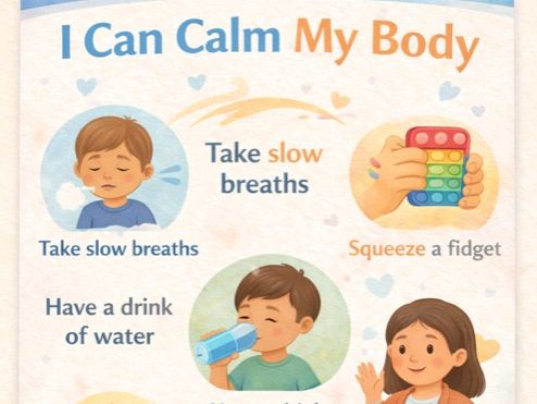 FREE Emotional Regulation Posters | Calm Classroom SEND Visual Supports Bundle