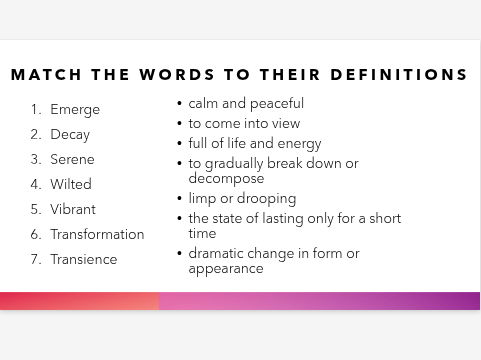 KS3 Vocabulary & Descriptive Writing Activities