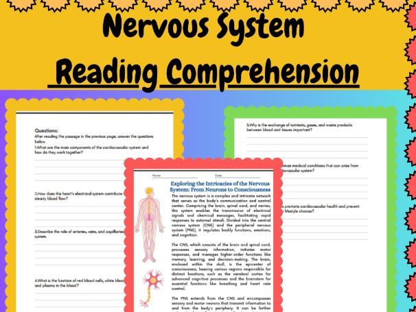 Human Body Systems | Nervous System | Reading Comprehension