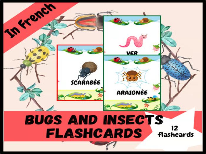 Bugs and Insects Vocabulary Flashcards: Printable Photo Cards for kids/ French