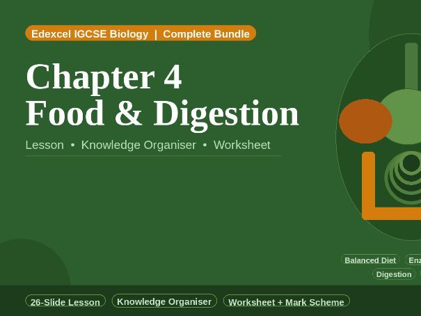 Edexcel IGCSE Biology | Chapter 4: Food and Digestion | Complete Lesson Bundle