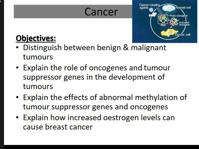 Cancer and gene expression A level Biology AQA