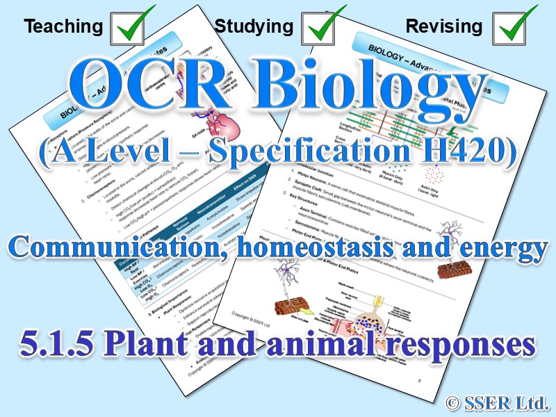 BIOA_OCR Topic Notes: 5.1.5 Plant and animal responses