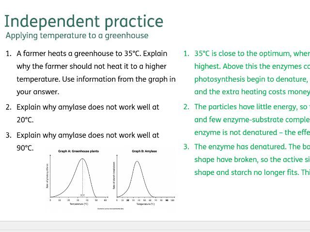 AQA Bioenergetics - Indep. pract. Qs and As