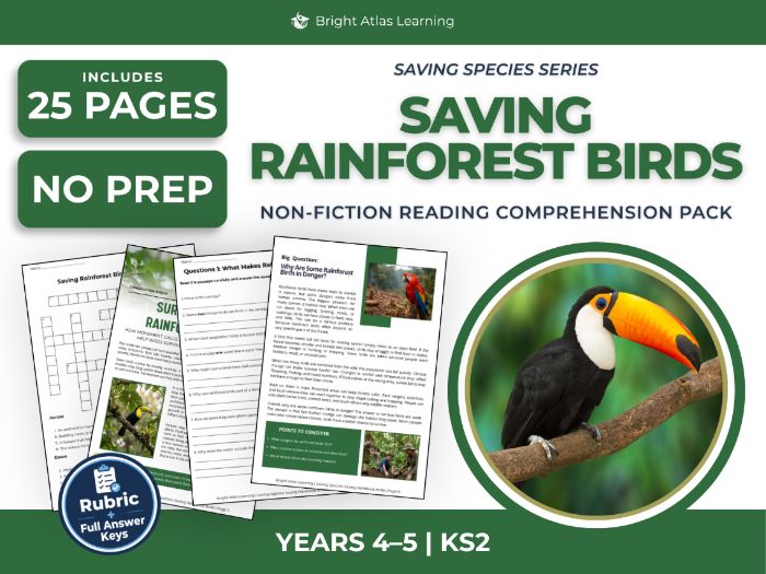 Rainforest Birds Reading Comprehension | KS2 Years 4 & 5