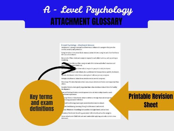 A Level Psychology Attachment Glossary | Bowlby Ainsworth Learning Theory Key Terms Explained