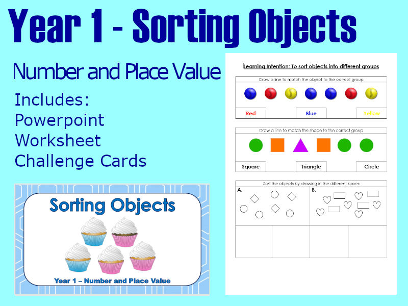 Sorting Objects Year 1 Maths Lesson Teaching Resources
