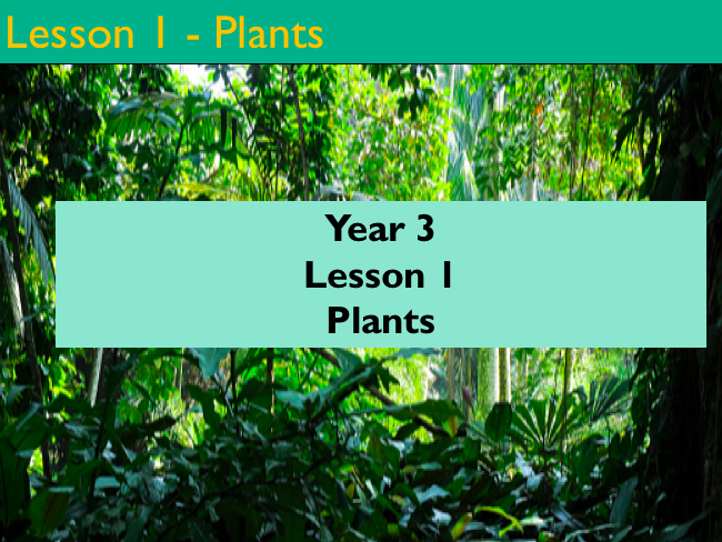 Year 3 - Science - Plants - Lesson 1 (Power point version)