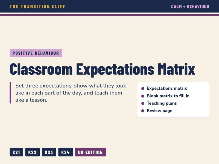Classroom Expectations Matrix and Teaching Plans: Positive Behaviour Expectations for SEND Classes