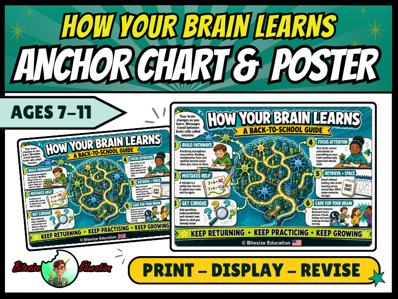 How Your Brain Learns | Back to school | Anchor Chart & Poster | KS2