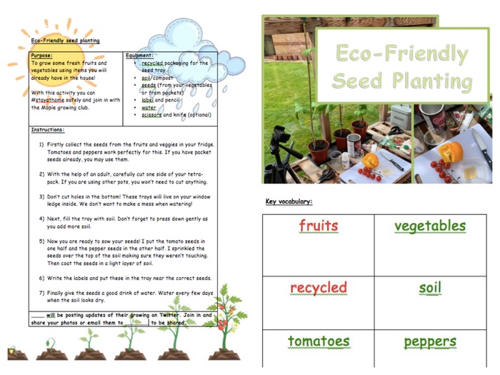 Eco-Friendly Seed Planting Activity | Teaching Resources