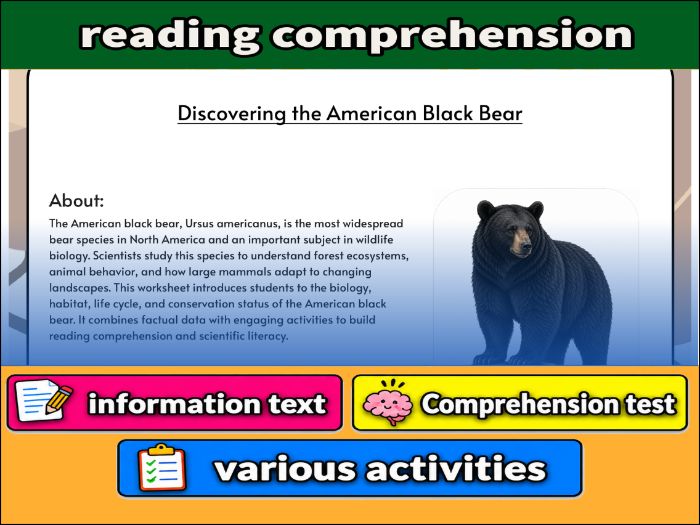 Discovering the American Black Bear - zoology : & Activities