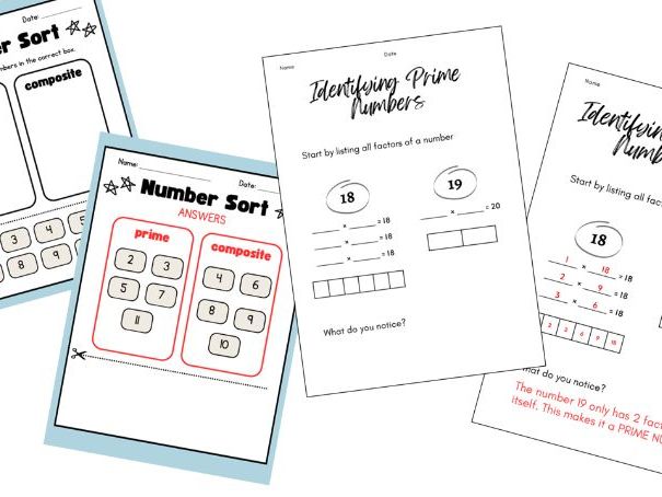 Identifying and Sorting Prime Numbers worksheets with answers