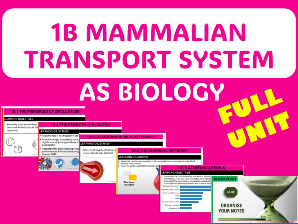 Mammalian transport system- AS FULL UNIT