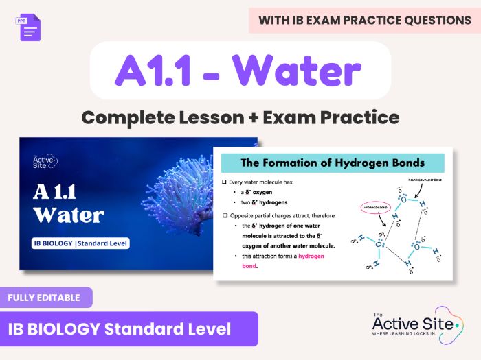 IB Biology A1.1 Water – SL Only PowerPoint, Exam Practice & Markschemes