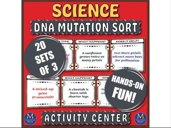 DNA Mutations Sorting Sets Activity Biology Science Genetics Station Center Fun