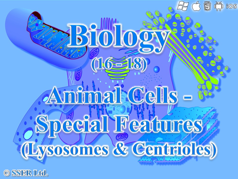 BioA_3.2.1.1 Eukaryotic Cells 2 - Animal Features