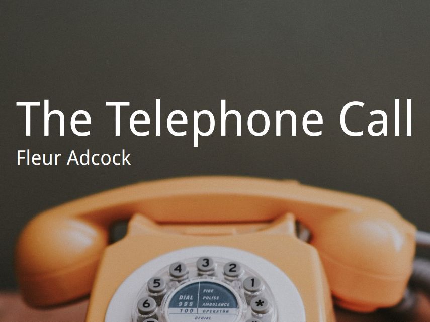 'The Telephone Call' by Fleur Adcock Poem Analysis Teaching Resources