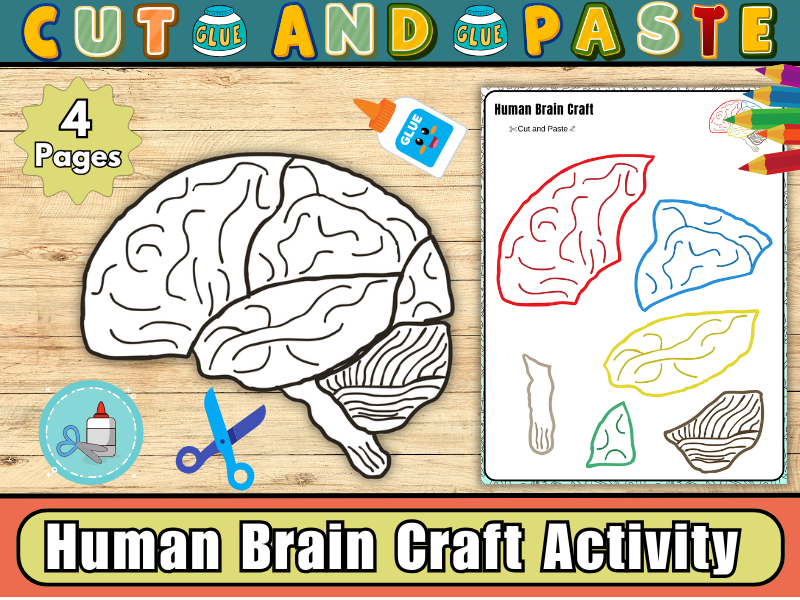 Human Brain Craft Activity – Cut and Paste Anatomy Craft for Kids | Science & Biology Fun