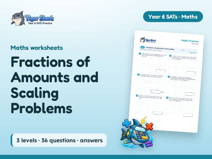 Fractions of Amounts and Scaling Problems