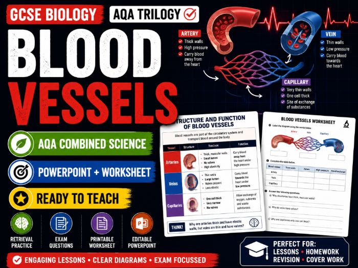 GCSE Biology Blood Vessels Lesson | AQA Combined Science | PowerPoint + Worksheet