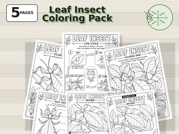 Leaf Insect Coloring Pages | Camouflage Insect Science Pack for Kids (PreK-Grade 3)