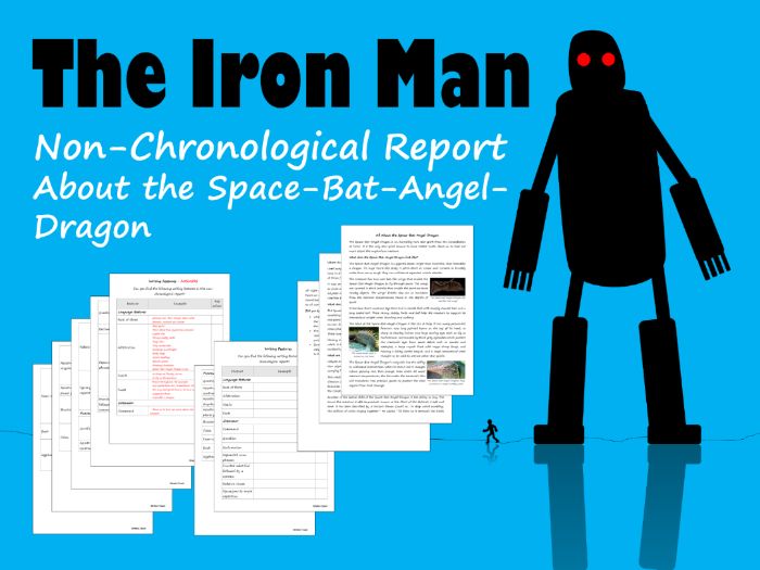 Space-Bat-Angel-Dragon Non-Chronological Report, Feature Identification & Answers