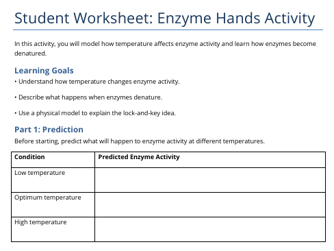 Enzyme Hands Activity