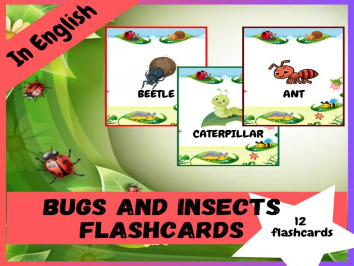 Bugs and Insects Vocabulary Flashcards: Printable Photo Cards for kids/ English