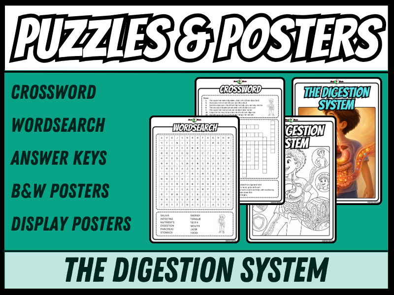 The Digestive System | Crossword, Wordsearch, Colouring Posters | Year 3&4