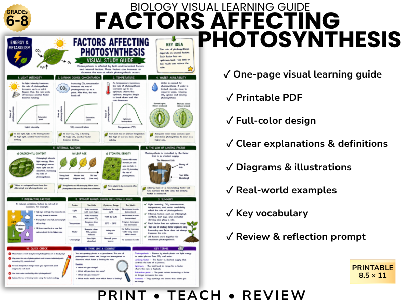 FACTORS AFFECTING PHOTOSYNTHESIS | Biology Visual Learning Guide | Grade 8 & Middle School Science