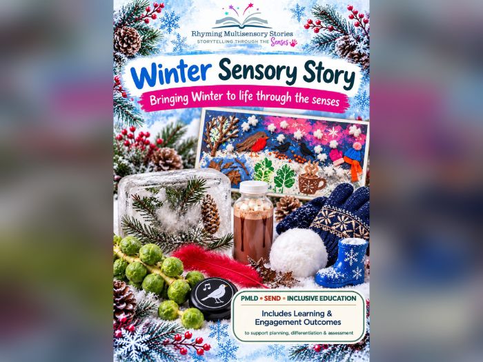Winter Sensory Story & Activities | SEND | PMLD