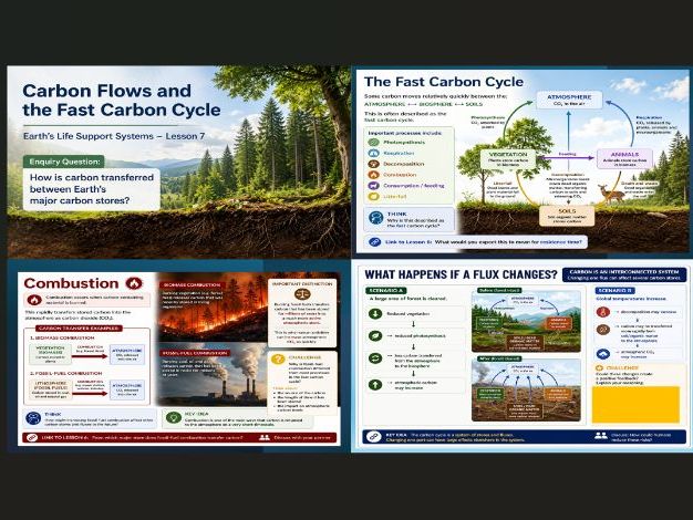 OCR A Level Geography: Earths Life Support Systems: Carbon flows and the fast carbon cycle