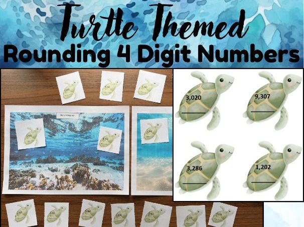 Turtle Rounding 4 Digit Numbers Activity