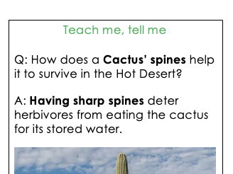 KS3 Geog Oracy Plant Adaptations Hot Deserts Teach me, Tell me