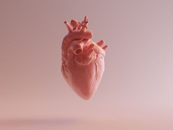 iGCSE Biology - 9.2 Heart