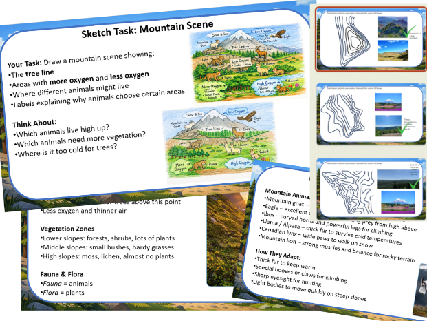 Y4 Geography - lesson 4 To identify animals and vegetation in mountain regions
