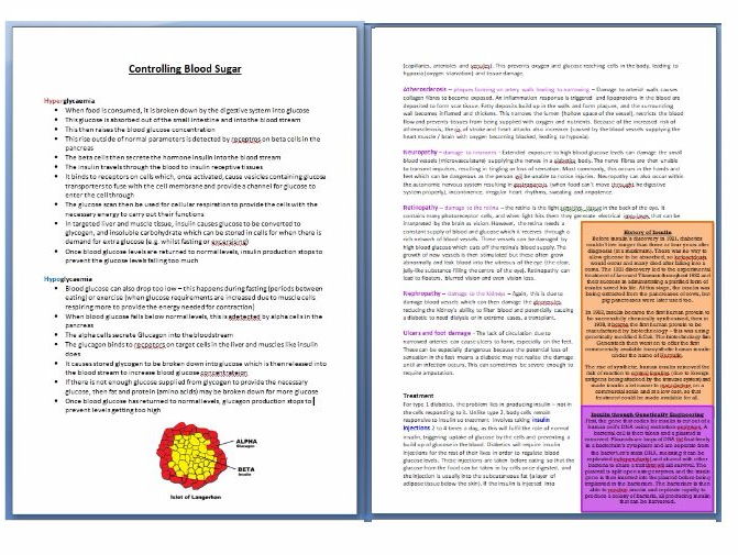 7 page study guide - Diabetes and Blood Glucose Control