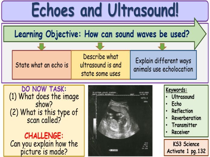 Echoes and Ultrasound KS3 Activate Science