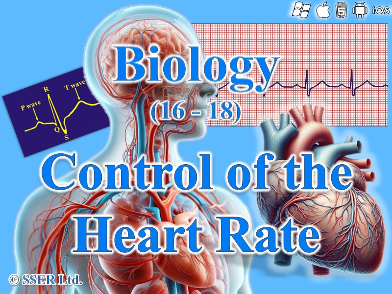 BioA_3.6.1.3 Control of the Heart Rate