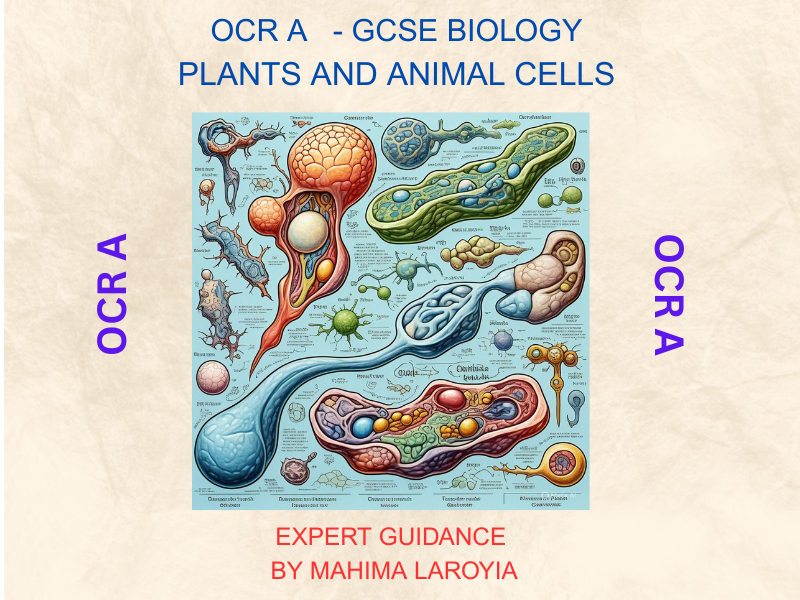 OCR A - GCSE Biology: Plants and Animal Cells