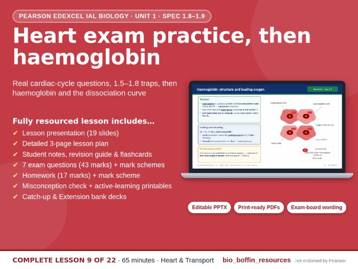 IAL Biology – Cardiac Cycle & Haemoglobin