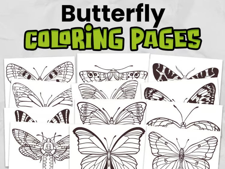 Butterfly Colouring Pages | Spring & Nature Activity | Primary Printable